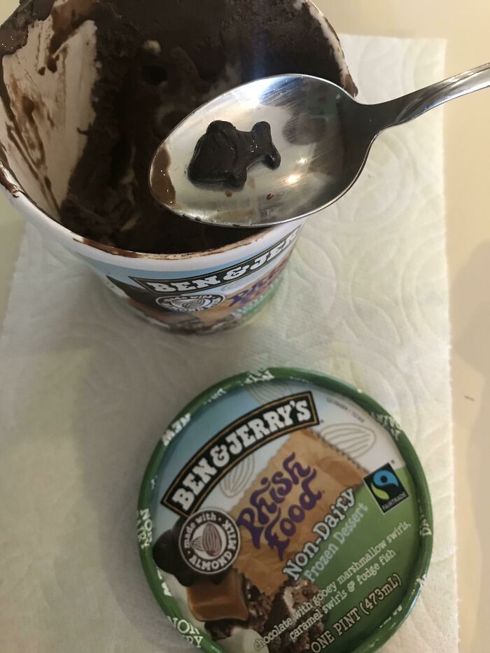 Ben & Jerrys Phish Food non-dairy ice cream, with a fish-shaped chocolate piece on a spoon, representing stupid vegan food.