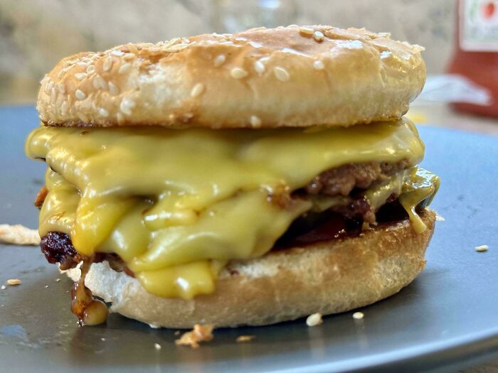 A cheesy burger on a sesame bun, portraying stupid vegan food that deserves to be shamed.