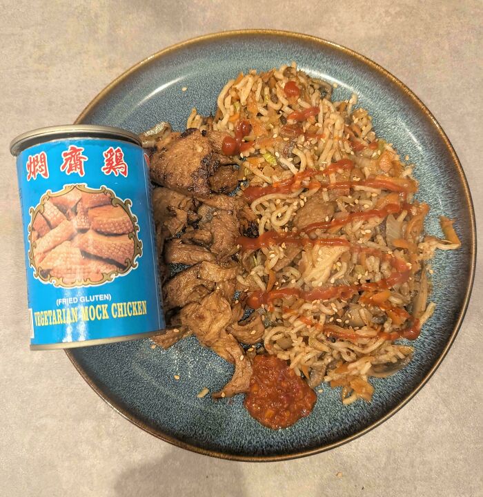 A plate of fried noodles with mock chicken from a can, drizzled with sauce, highlighting stupid vegan food.