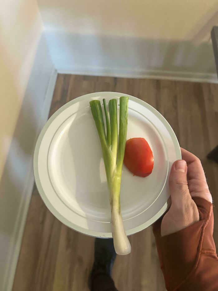 A small plate with a single spring onion and a tomato slice, epitomizing stupid vegan food that deserves to be publicly shamed.