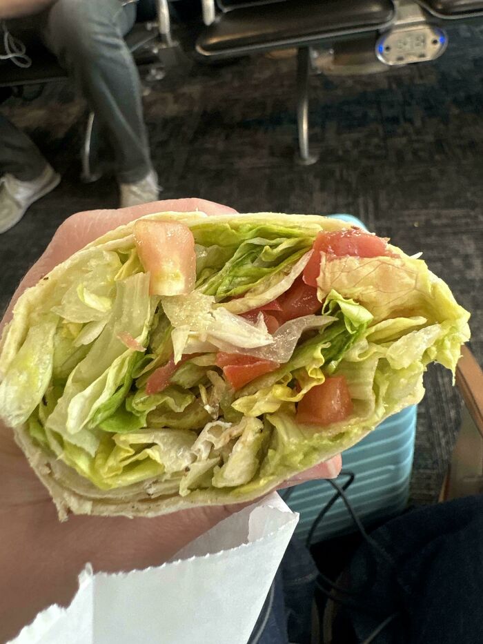 A hand holding a sad-looking wrap filled mostly with lettuce and some tomato, embodying stupid vegan food.