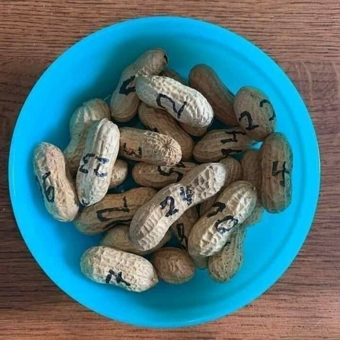 A blue bowl filled with peanuts, each shell numbered, an example of stupid vegan food that deserves public shaming.