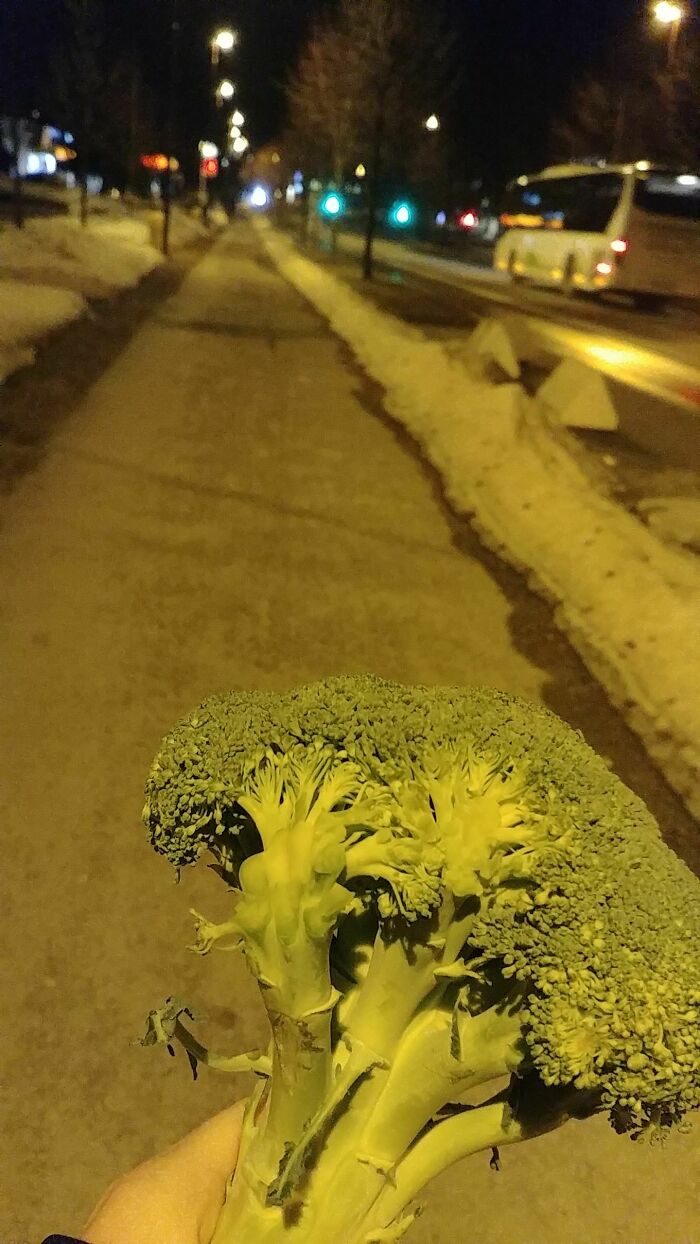 A hand holds a large head of broccoli on a city street at night, highlighting stupid vegan food.