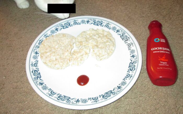Two plain rice cakes on a plate with a dollop of gochujang, a bottle of Korean chili sauce, and a cat, representing stupid vegan food.