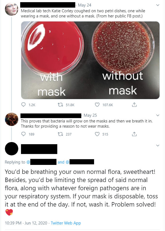 A tweet showing petri dishes, one with mask and one without, to demonstrate bacteria growth. A commenter busts the claim about mask.