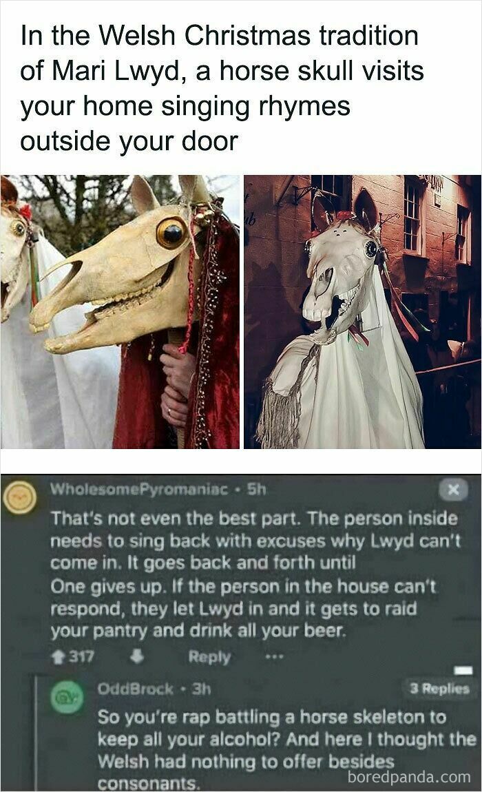 A meme about the Welsh Mari Lwyd tradition, featuring a horse skull, combining intelligence, blatant foolishness, and geek things.