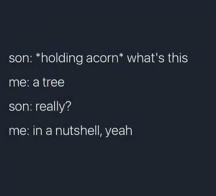 A text conversation with a witty pun about an acorn, illustrating intelligence, blatant foolishness, and geek things.