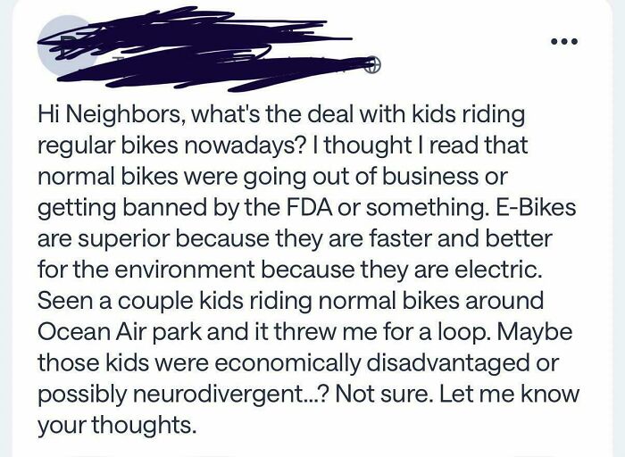 A funny screenshot from a neighborhood online community debating kids riding regular bikes versus E-Bikes.