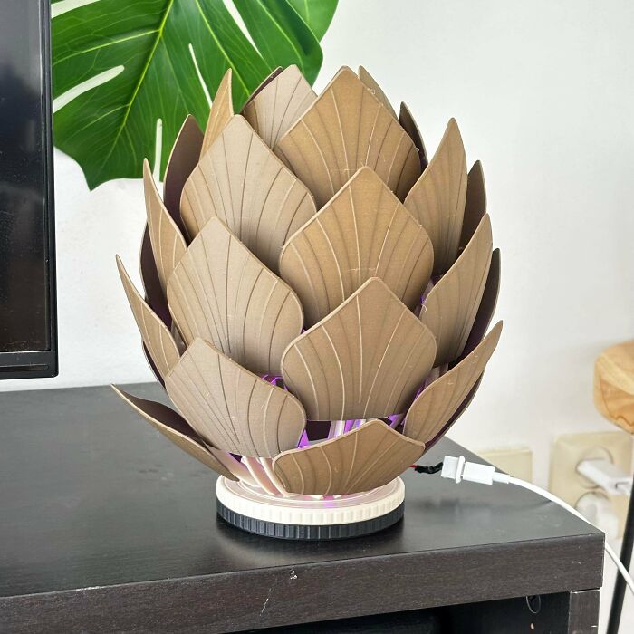 A creative home DIY project: a unique lotus flower-shaped lamp made from cardboard.