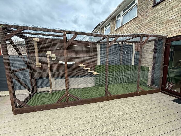 A large outdoor cat enclosure, a home DIY project with platforms and ramps, on a patio deck.