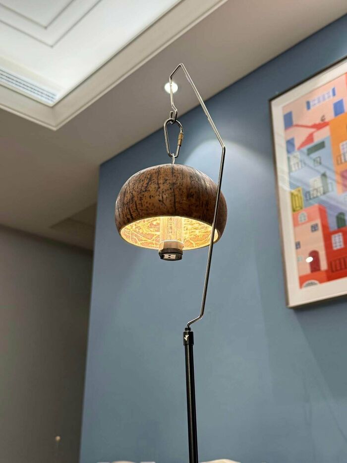 Creative Home DIY Projects: A unique hanging lamp made from a repurposed coconut shell, providing ambient lighting.