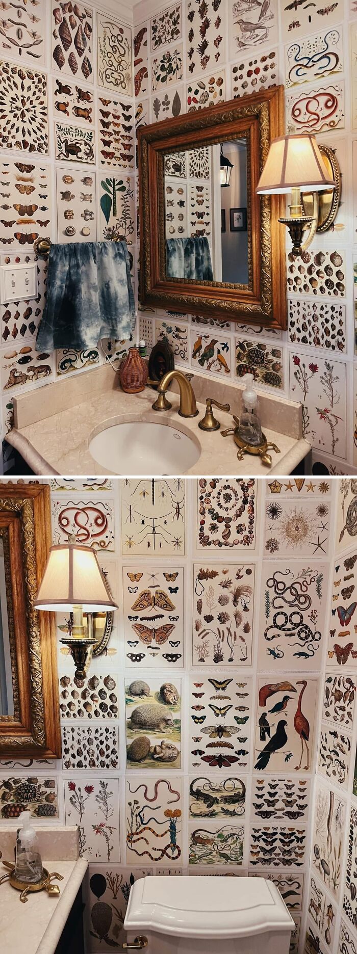 A creative home DIY project: a bathroom with walls covered in vintage-style insect and botanical illustrations.