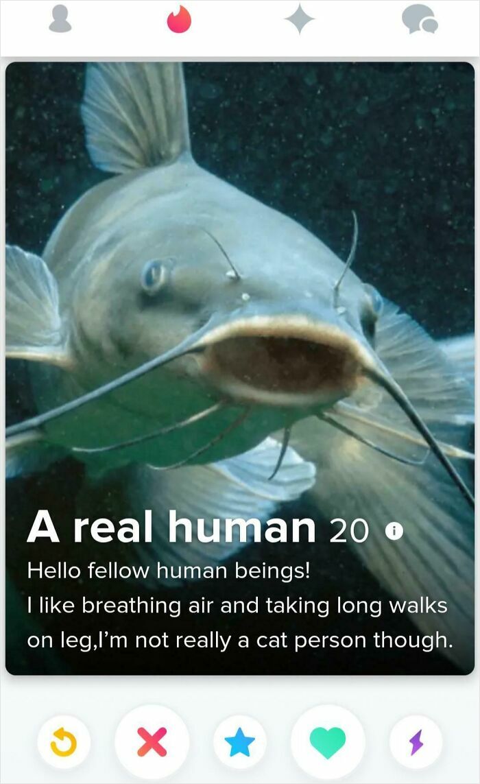 A cringe Tinder profile with a catfish picture and a bio that states, A real human 20.