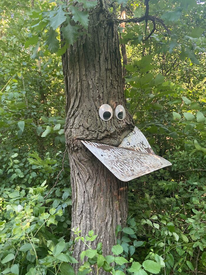 Unsettling yet fascinating pictures of trees eating things, featuring a tree with googly eyes and a sign for a mouth.