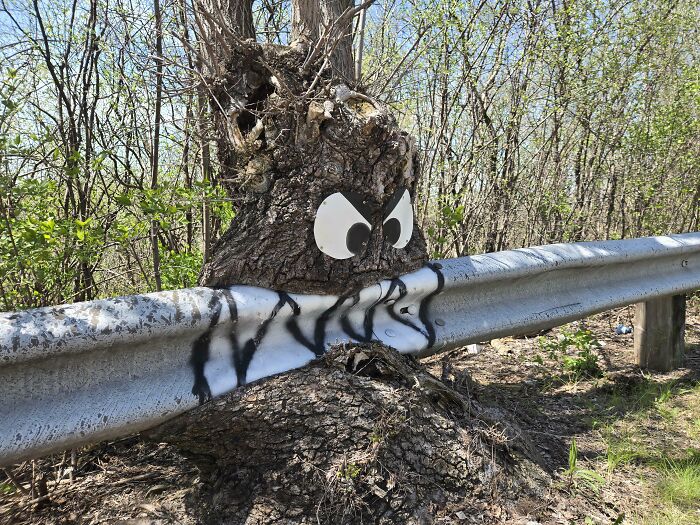 Fascinating picture of a tree eating a metal guardrail, with eyes and a mouth painted on the tree.