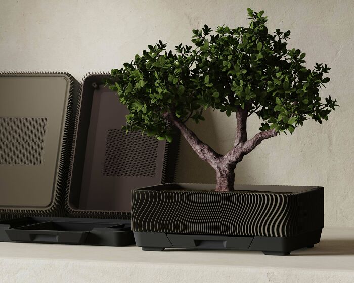A small bonsai tree in a modern 3D printed planter with a wavy design, highlighting useful things printed with 3D printers.