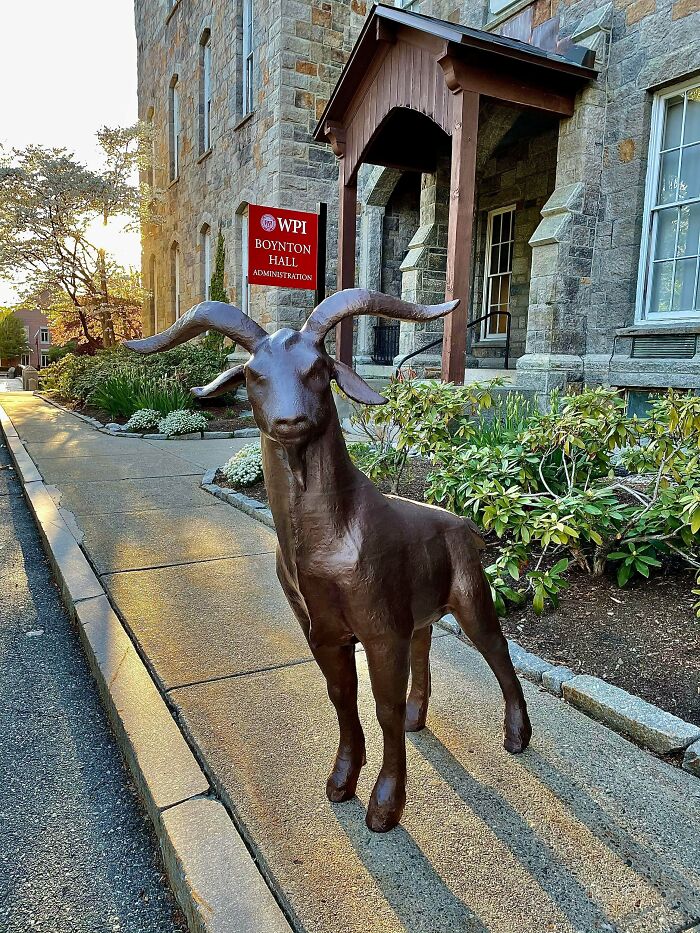 A life-sized goat statue on a sidewalk in front of a stone building, a cool and useful thing people printed with their 3D printers.