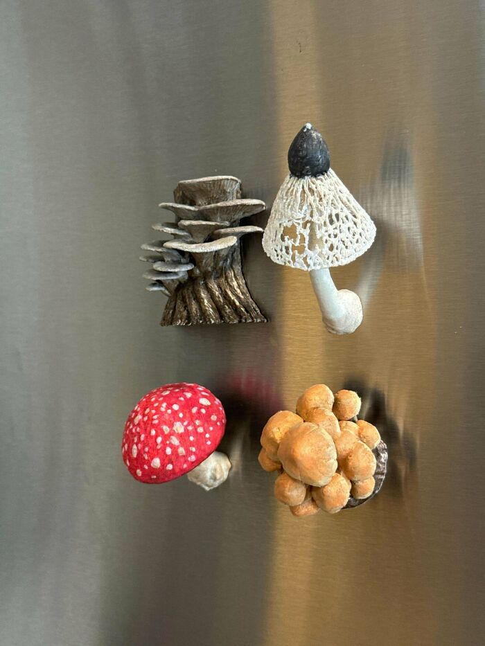 Four different cool and useful 3D printed mushroom magnets are attached to a metallic surface.