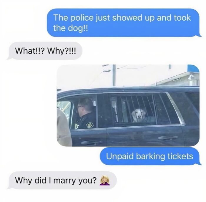 A text message conversation about a dog being taken by police for unpaid barking tickets, a funny dumb pun.