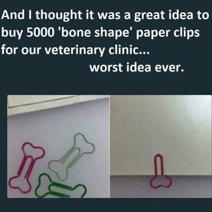 A close-up image showing paper clips shaped like bones that, when stood up, resemble something else, highlighting displays of stupidity.