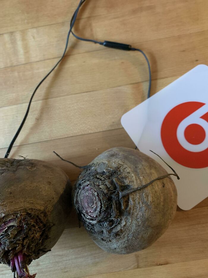Beats headphones plugged into two beets, an unfortunate display of stupidity.
