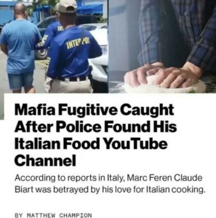 Headline about a mafia fugitive caught due to his Italian food YouTube channel, showing displays of stupidity online.