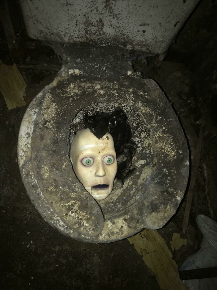 A creepy doll head with green eyes and black hair stuck in a dirty toilet, a confusing image.
