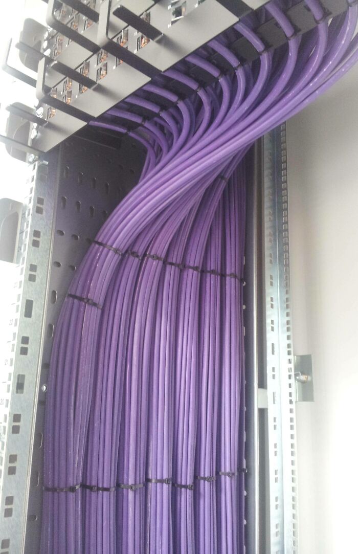 Neatly bundled purple network cables inside a server rack, demonstrating organized technologies that simplify everyday life.