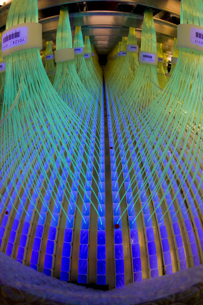 Satisfying and genius technologies: Rows of bright blue glowing panels with green fiber optic cables above.