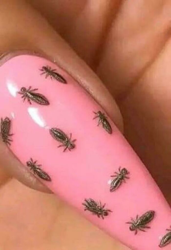 Creepy and confusing images: A close-up of a pink fingernail with multiple small, dark insect-like decals.