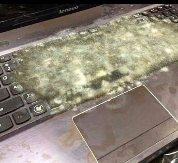 A close-up of a severely moldy and dirty laptop keyboard, a truly creepy and confusing sight that needs a priest.