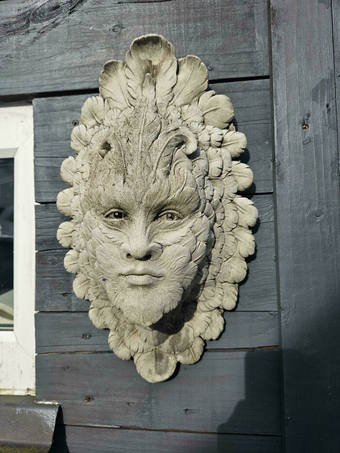 A detailed green man wall sculpture made of stone, mounted on a wooden wall, adding to creepy images.