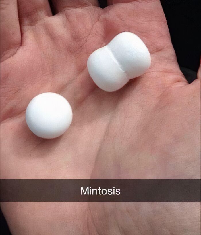 A hand holding two mints, one round and one shaped like two joined spheres, with the caption Mintosis, illustrating displays of stupidity.