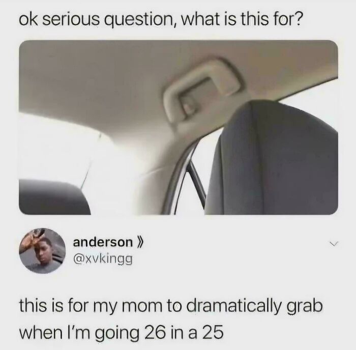 Funny comments on Twitter about a car grab handle used by moms for dramatic braking in a car.