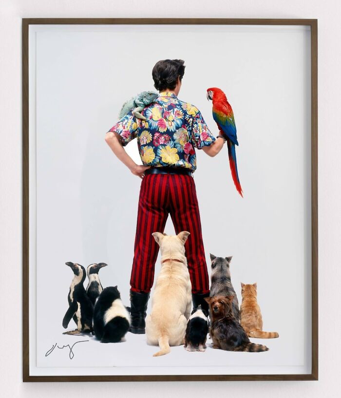 An artist reimagined a masterpiece: a man surrounded by various animals, including a parrot and chameleon, seen from behind.
