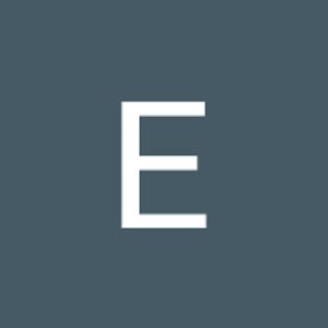 elrinacrous avatar