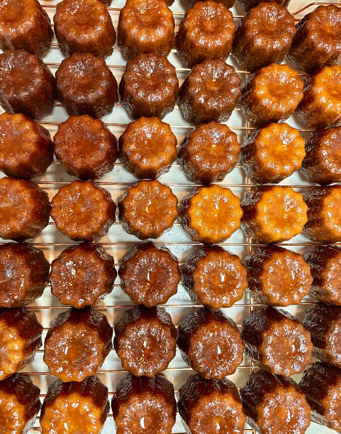 A grid of perfectly baked, golden-brown canelés cooling on a wire rack, showcasing the amazing treats bakers can create.