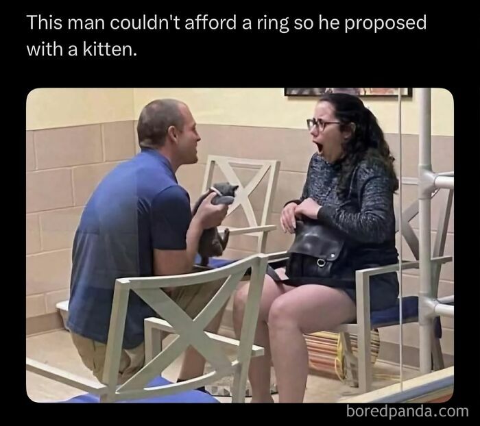 A man proposing with a kitten to a surprised woman in a room with white chairs, a heartwarming viral moment.