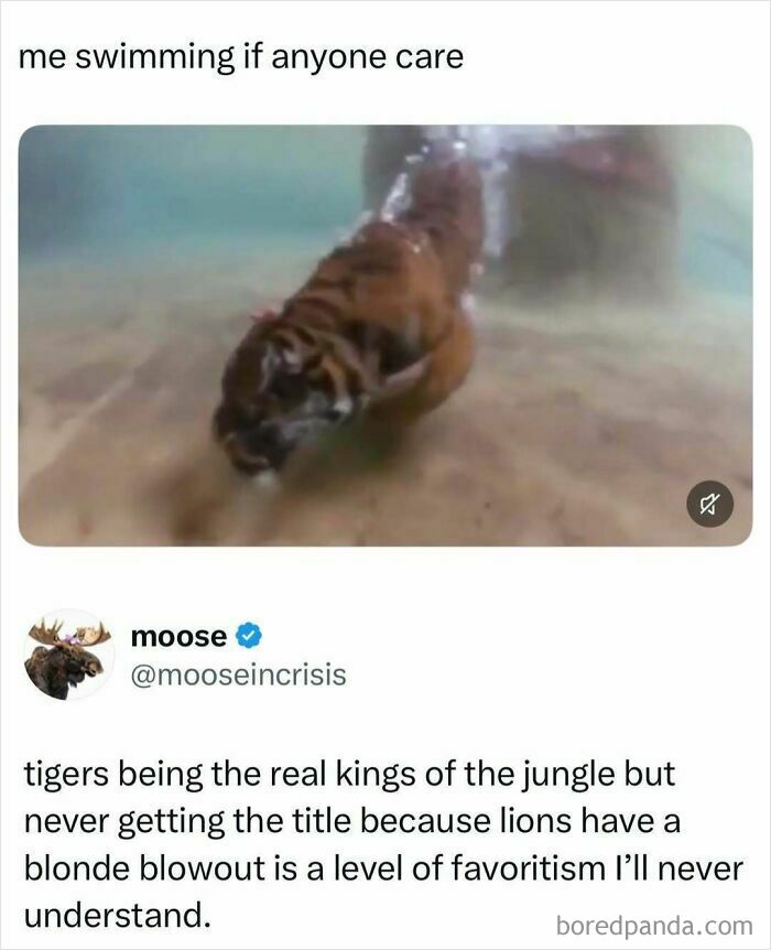 A tiger swimming underwater, an enjoyable internet post highlighting the animal's grace.