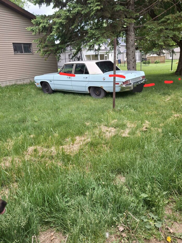 An old light blue car is parked on a grassy lawn under a tree, depicting outrageous parking.