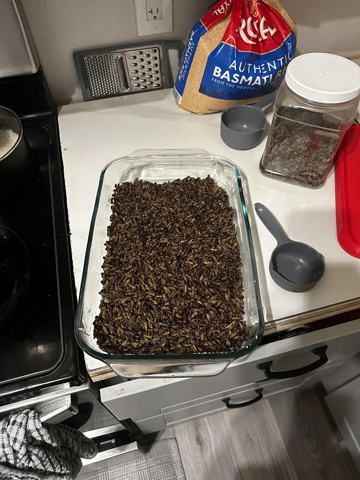 A rectangular glass dish filled with dark, roasted insects, a truly disgusting food item.