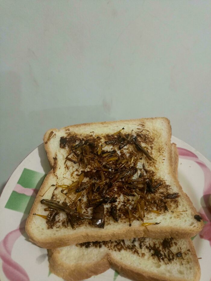 Toasted bread topped with a heap of roasted insects, a truly disgusting food for public shaming.