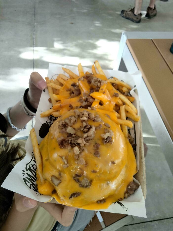 A dish of fries and a burger patty covered in melted cheese and meat bits, a truly disgusting food.