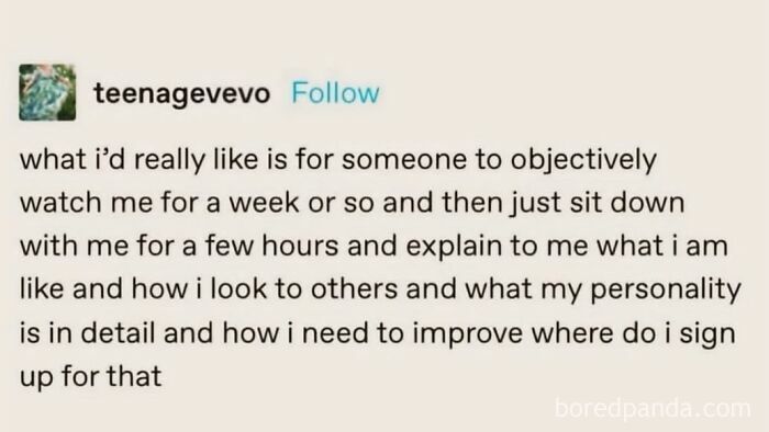 A relatable meme expressing the desire for someone to objectively analyze and explain one's personality.