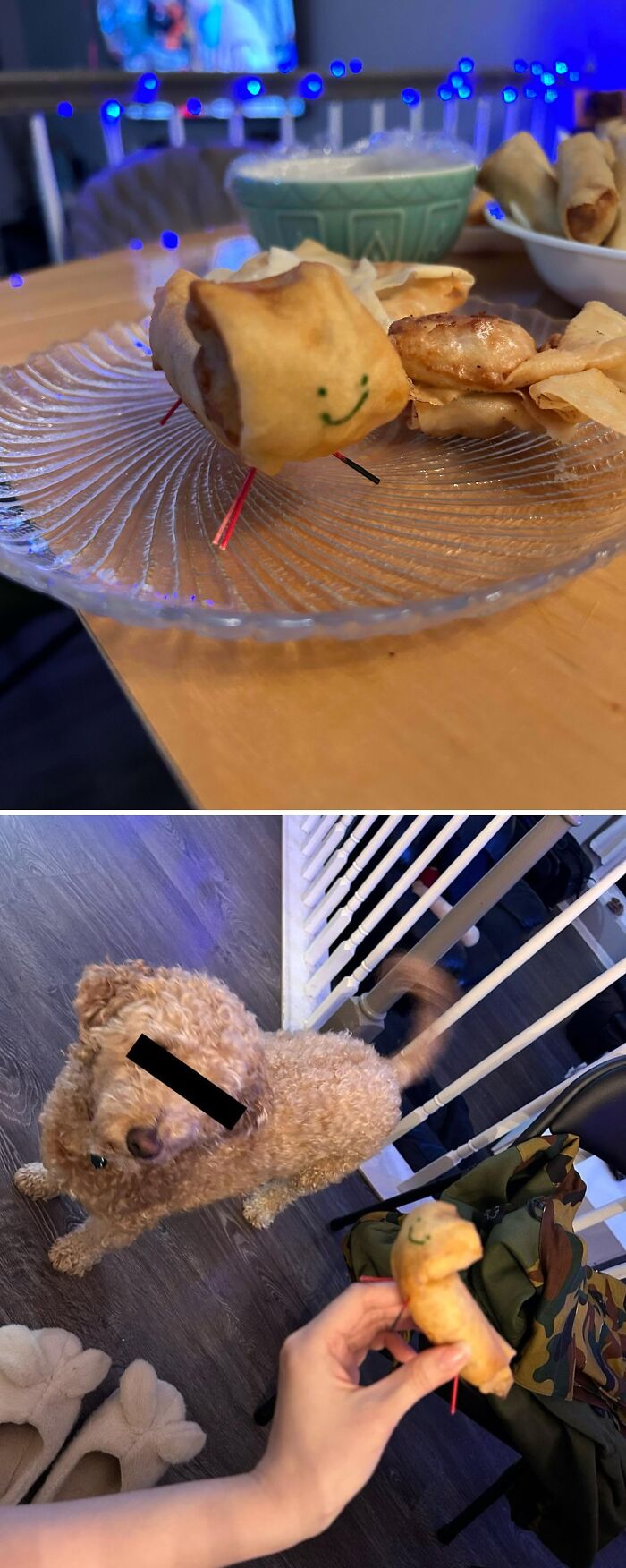 A spring roll decorated like a caterpillar on a clear plate, with a dog looking at a similar piece of food. Stupid and disgusting food.