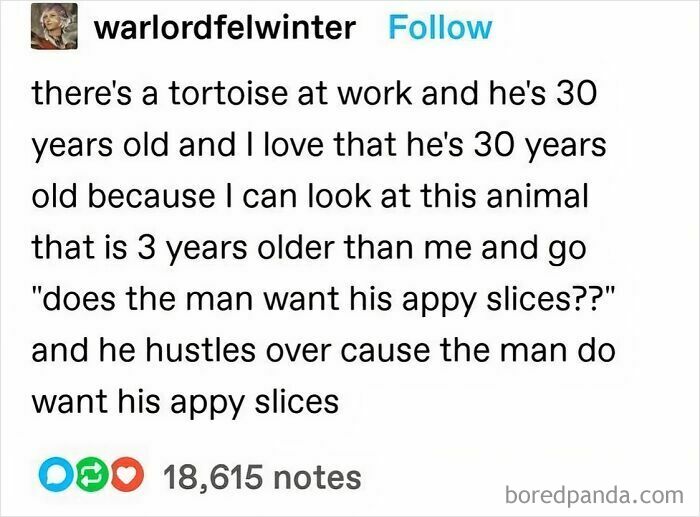 A nerdy meme showing a tortoise, loved by the author, being fed apple slices for good vibes.
