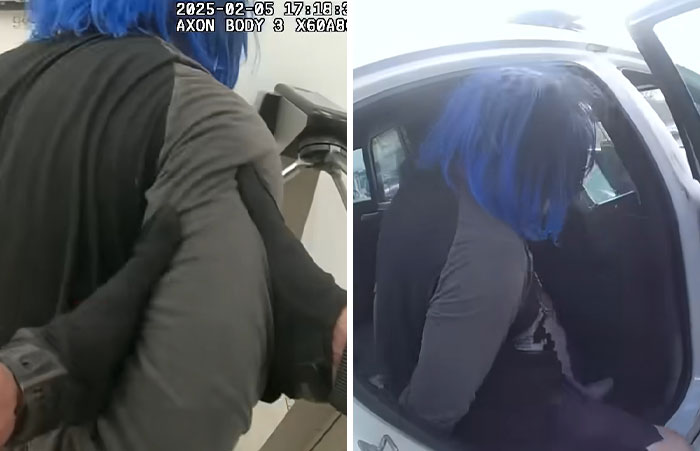 Trans Florida student, with blue hair, is being arrested and put into a police car. Trans Florida student, with blue hair, is being arrested and put into a police car.