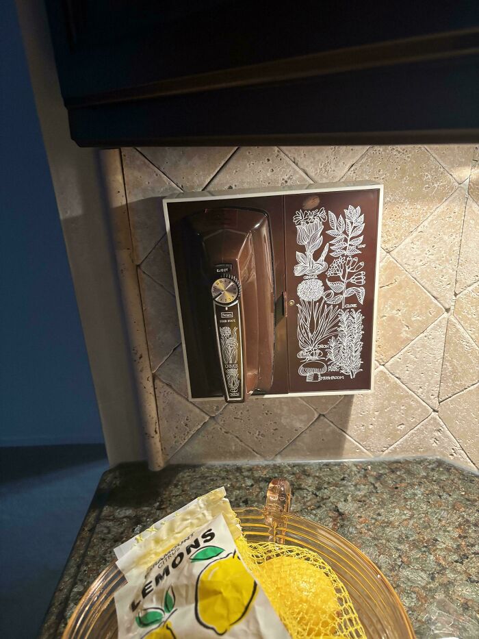 Close-up of a built-in wall appliance with a botanical design, typical of 1970s and 1980s interior design.