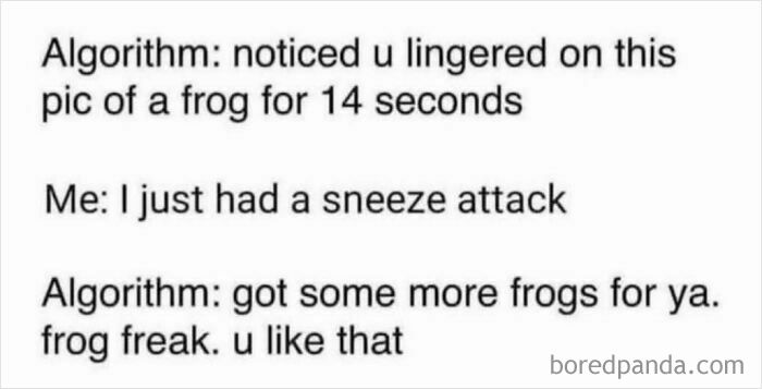 A funny post for adults about an algorithm noticing someone lingering on a frog pic, offering more frogs.