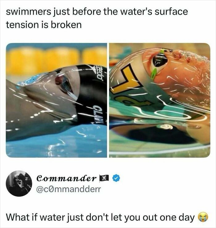 A meme showing side-by-side images of swimmers just before breaking water surface tension, creating a laugh.